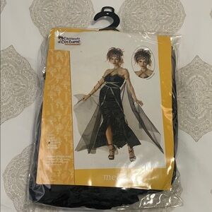California Costume Black Dress with Sheer Overlay